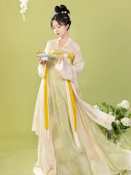 Студийная фотосессия Hanfu Оригинальная Женская юбка в стиле Тан Длиной до груди с принтом в Весенне-летнем стиле